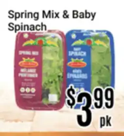 Nations Fresh Foods Spring Mix & Baby Spinach offer