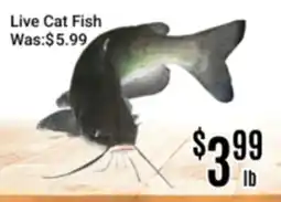 Nations Fresh Foods Live Cat Fish offer