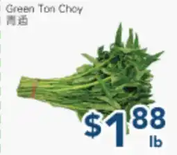 Oceans Fresh Food Market Green Tan Choy offer