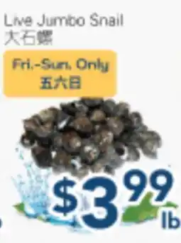 Oceans Fresh Food Market Live Jumbo Snail offer