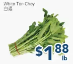 Oceans Fresh Food Market White Ton Choy offer