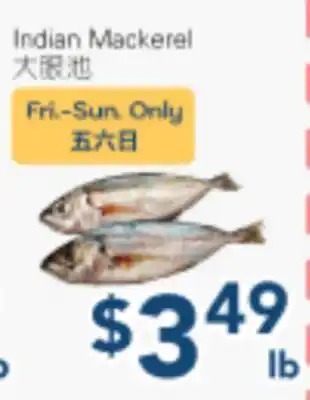 Oceans Fresh Food Market Indian Mackerel offer