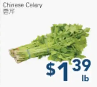 Oceans Fresh Food Market Chinese Celery offer