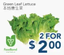 Oceans Fresh Food Market Green Leaf Lettuce offer