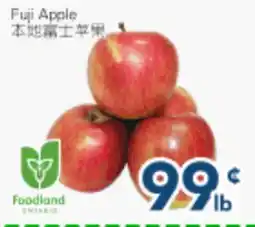 Oceans Fresh Food Market Fuji Apple offer