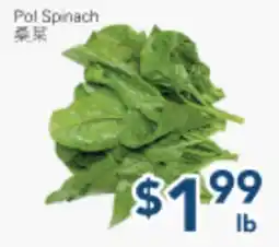 Oceans Fresh Food Market PC Spinach offer