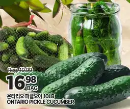 H-Mart ONTARIO PICKLE CUCUMBER offer