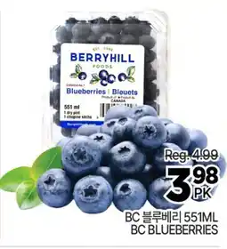 H-Mart BC BLUEBERRIES offer