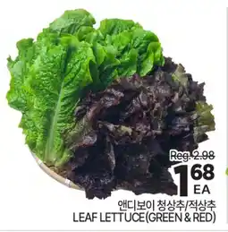 H-Mart LEAF LETTUCE(GREEN & RED) offer