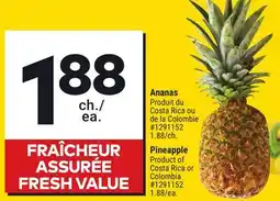 Giant Tiger Pineapple offer