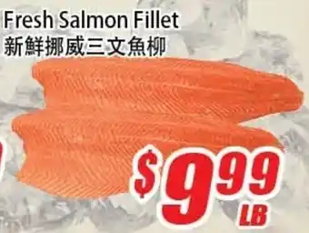 Fresh Salmon Fillet