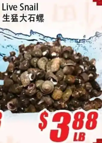 WinCo Food Mart Live Snail offer