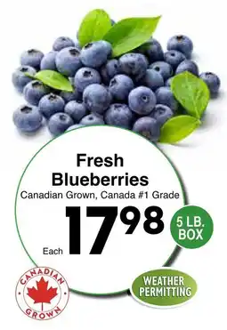 Western Foods Fresh Blueberries offer