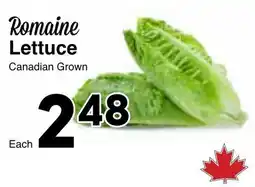 Western Foods Romaine Lettuce offer