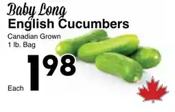 Western Foods Baby Long English Cucumbers offer