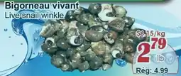 Marche C&T Live snail winkle offer