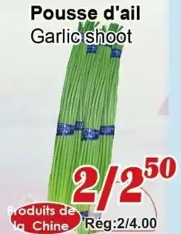 Marche C&T Garlic shoot offer