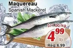Marche C&T Spanish Mackerel offer