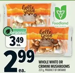 Metro Whole white or crimini mushrooms offer
