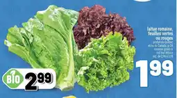 Metro Laitue romaine feuilles vertes ou rouges offer