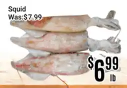 Nations Fresh Foods Squid offer