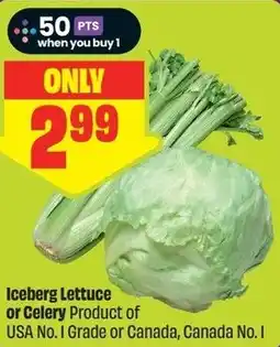 FreshCo Iceberg Lettuce or Celery offer