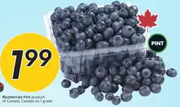 Sobeys Blueberries Pint offer