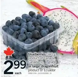 Fortinos Blueberries or Large Dragonfruit offer