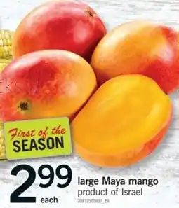 Fortinos Large Maya Mango offer