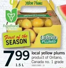 Fortinos Local yellow plums offer