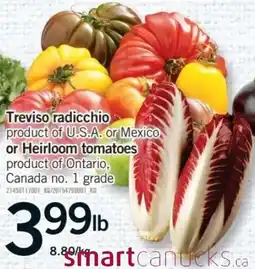 Fortinos Treviso radicchio or Heirloom tomatoes offer
