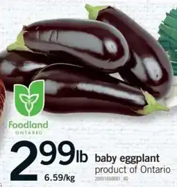 Fortinos Baby Eggplant offer