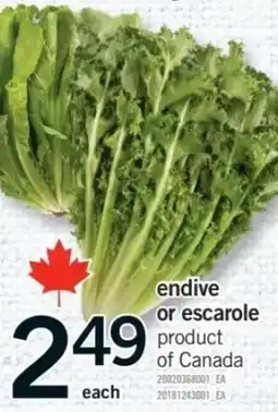 Fortinos Endive or escarole offer