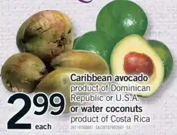 Fortinos Caribbean avocado or water coconuts offer