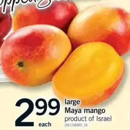Fortinos Large Maya Mango offer