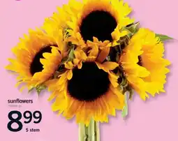 Fortinos Sunflowers offer