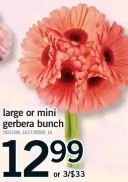 Fortinos Large or mini gerbera bunch offer