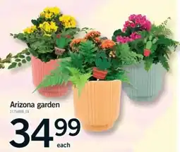 Fortinos Arizona garden offer