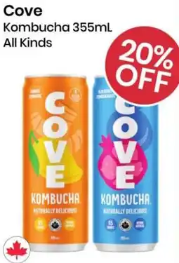 Healthy Planet Cove Kombucha offer