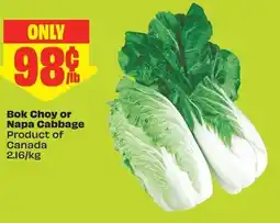 FreshCo Bok Choy or Napa Cabbage offer