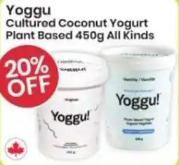 Healthy Planet Yoggu Cultured Coconut Yogurt Plant Based All Kinds offer