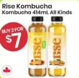 Healthy Planet Rise Kombucha Kombucha All Kinds offer