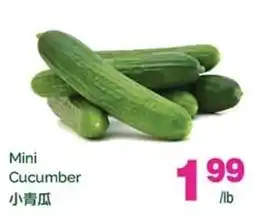 T&T Supermarket Mini Cucumber offer