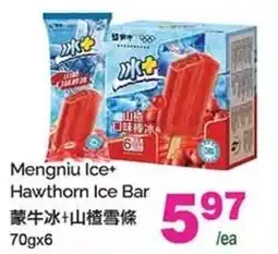 T&T Supermarket Mengniu Ice+ Hawthorn Ice Bar offer