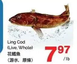 T&T Supermarket Ling Cod offer