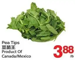 T&T Supermarket Pea Tips offer