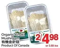 T&T Supermarket Organic Enoki Mushroom offer