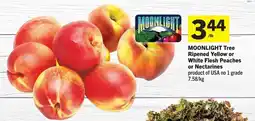 IGA Moonlight tree ripened yellow or white flesh peaches or nectarines offer