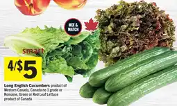 IGA Long English Cucumbers offer