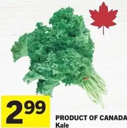 IGA Kale offer